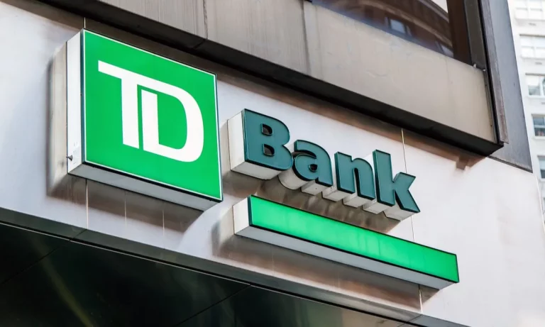 Exploring the world of cards: TD Bank brings innovative options to meet your financial needs
